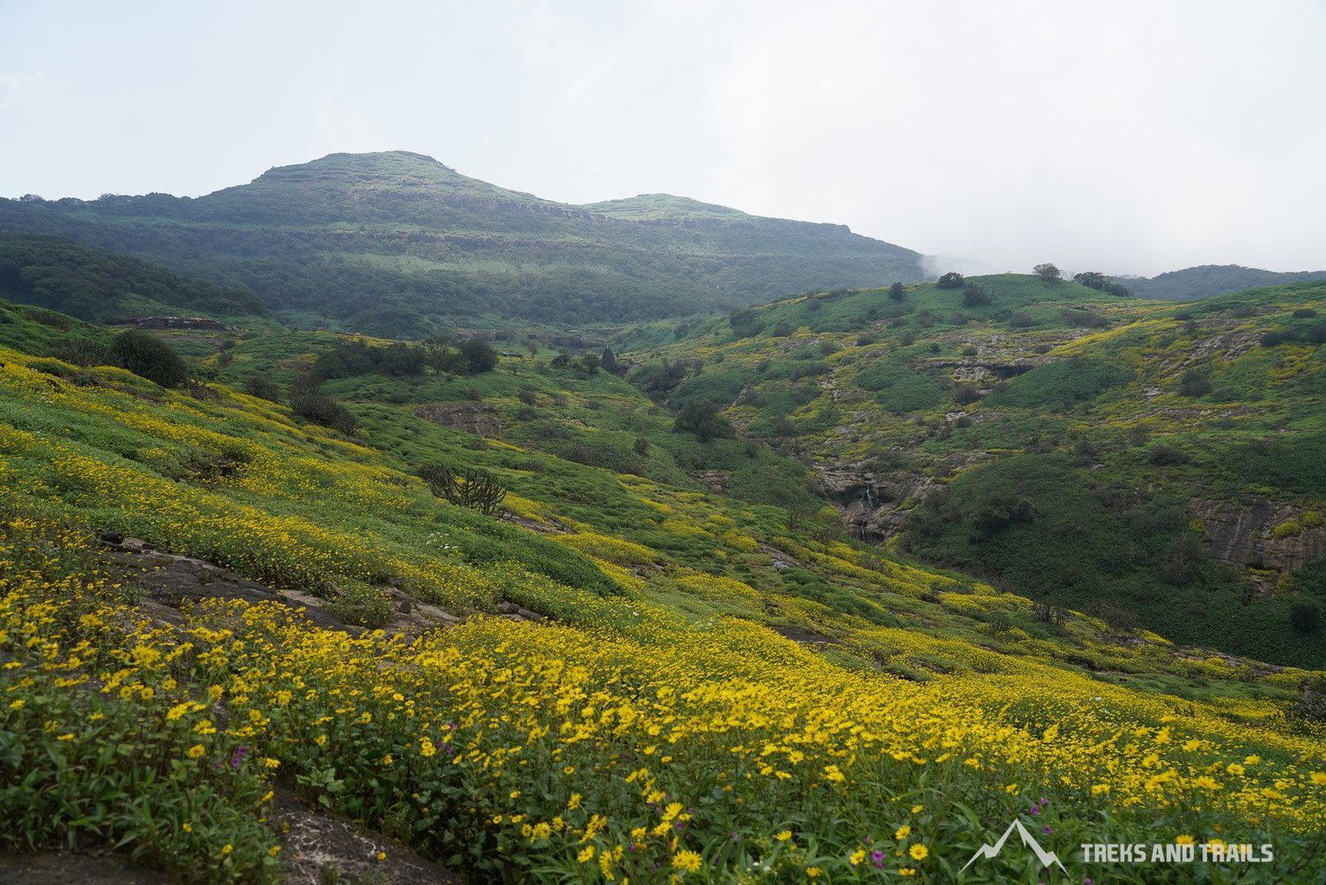 Harishchandragad Image