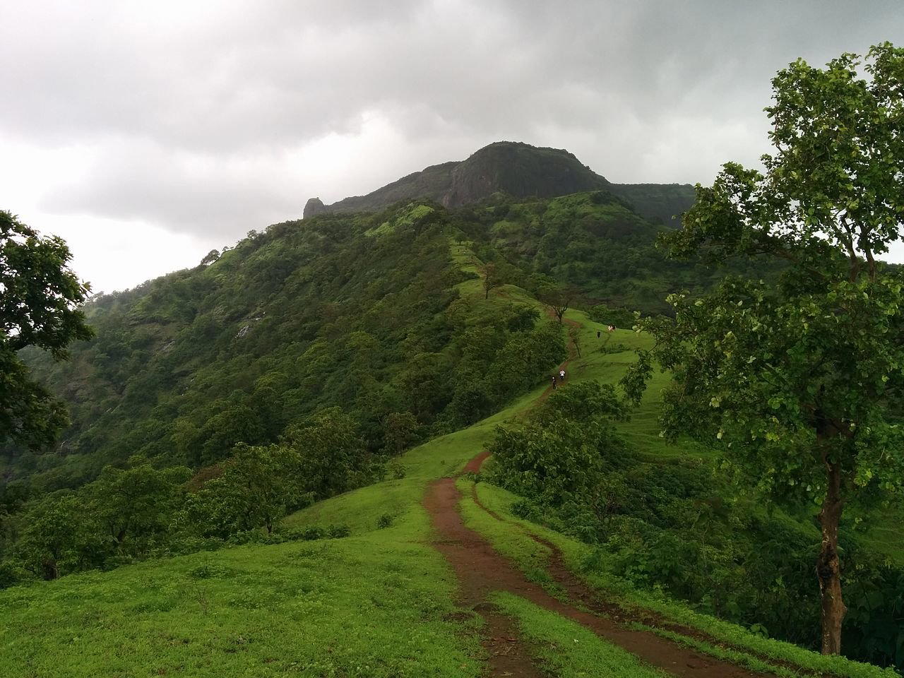 one-tree-hill-matheran