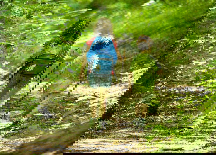 Prabalmachi Trek Easy trek near Mumbai - Tour