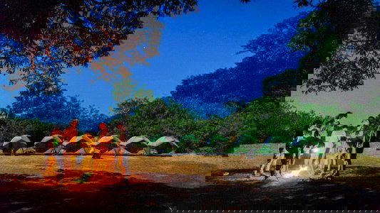 Rajmachi Camping | Treks and Trails India