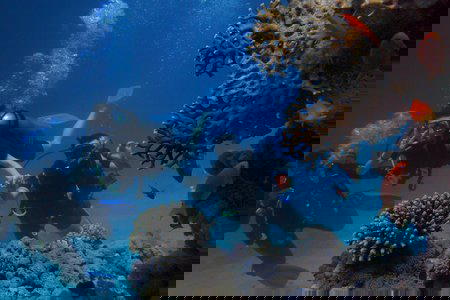 Trip to Malvan Tarkarli Sindhudurg